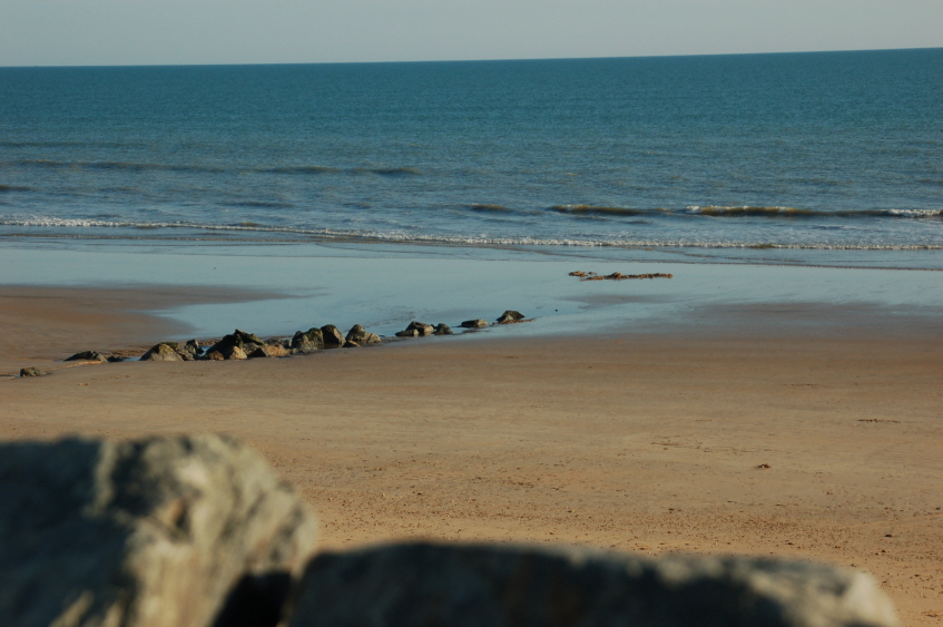 Bild8 (Originalgr��e)