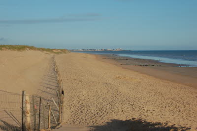 Bild21 (Originalgr��e)