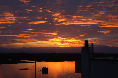 Bild37 (Originalgr��e)