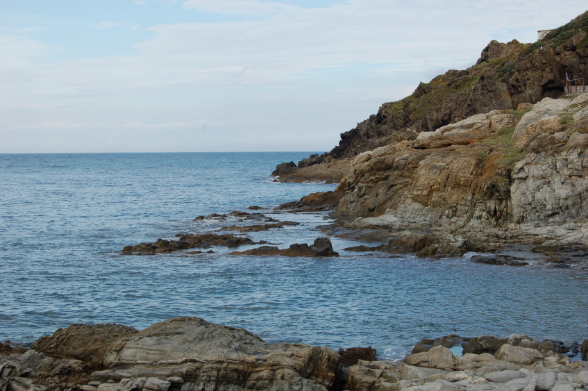 Bild42 (Originalgr��e)