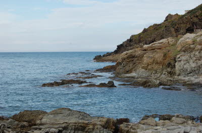 Bild42 (Originalgr��e)