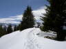 PICT2694