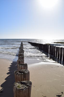 Zoutelande-M�rz-2016-12