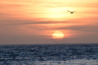 Zoutelande-M�rz-2016-61