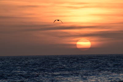 Zoutelande-M�rz-2016-62